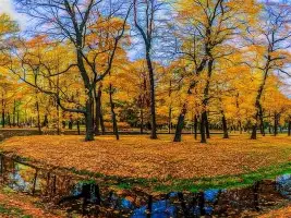 恩比德联赛第二球再成焦点(恩比德季后赛连续两场8次失误)|亚博app下载